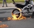 Zdjęcie z galerii